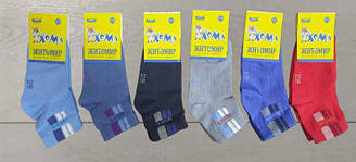 Шкарпетки для хлопчика демісезонні середні, Sport, Майстер (розмір 12-14)