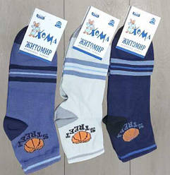 Шкарпетки для хлопчика демісезонні середні, STREET, Майстер (розмір 20-22)