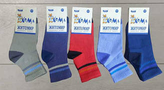 Шкарпетки для хлопчика демісезонні середні, Смужки, Майстер (розмір 12-14)