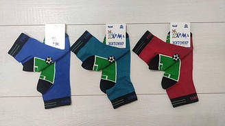 Шкарпетки для хлопчика демісезонні середні, Футбольне поле, Майстер (розмір 16-18)