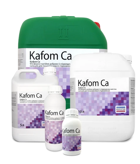 Кафом Ca (Kafom Ca),  Meristem. 1л, 5л, 20л.