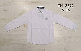 Біла сорочка на хлопчика гуртом, Buddy boy, 6-16 рр. арт. TM-3672
