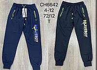 Спортивные штаны для мальчиков оптом, S&D, 116-146 см, № CH-6642