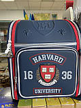 Рюкзак каркас 1 Вересня H-18 Harvard (555108), фото 2