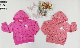 Пайта утеплена для дівчат оптом, Taurus, 1-5 років, № XH-165