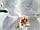 Вінілова наклейка на холодильник Ніжні білі Орхідеї (самоклеюча плівка ПВХ) квіти на білому 600*1800 мм, фото 5