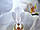 Вінілова наклейка на холодильник Ніжні білі Орхідеї (самоклеюча плівка ПВХ) квіти на білому 600*1800 мм, фото 7