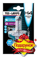 Автолампа H4 12V 60/55W +50% Xenon P43t Tes-lamps