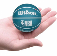 Мини-мяч баскетбольный Wilson NBA Dribbler Charlotte Hornets
