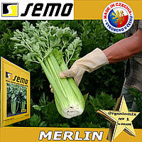 Насіння, селера черешкова МЕРЛІН / MERLIN  від компанії Seмо (Чехія) 10 000 насінин