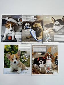 Зошит шкільний 12 аркушів "Бріск" лінія