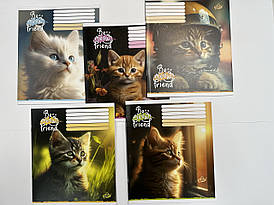 Зошит шкільний 18 аркушів "Бріск" клітинка