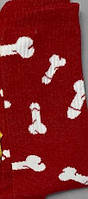 Шкарпетки жіночі високі 1 пара "Цюцюрки" червоні 36-41 р