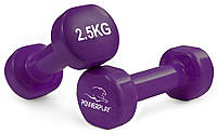 Гантели виниловые PowerPlay 4125 Achilles 2*2.5 кг. Фиолетовые (пара 2шт.) спортивные гантельки