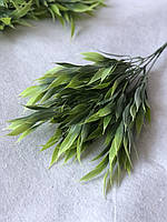 Куст зелени  лавр  висота  35 см 5 веток