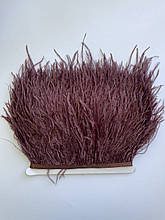 Пір'я страуса на стрічці 10-15 см, пір'яна тасьма з натурального пір'я шоколадно-коричневий колір. Ціна за 1 м.