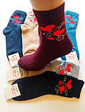 Шкарпетки жіночі махрові ТМ Lomani р.36-40, фото 4