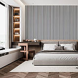 Декоративна настінна рейка ДПК Срібло 160х23х3000мм, фото 4