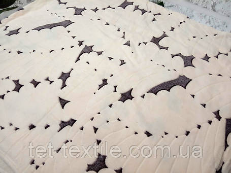 Плед із мікрофібри полегшений Colorful Home 200х220см., фото 1