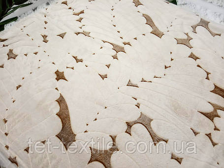 Плед із мікрофібри полегшений Colorful Home 200х220см., фото 1