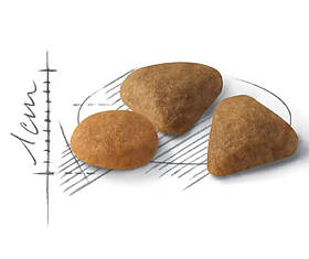 Royal Canin EXIGENT SAVOUR НА ВАГУ сухий корм для вибагливих котів (ціна за1кг)