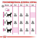 Royal Canin EXIGENT SAVOUR НА ВАГУ сухий корм для вибагливих котів (ціна за1кг), фото 4