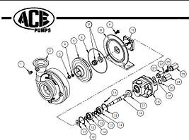 Запчастини до насосів Ace Pumps