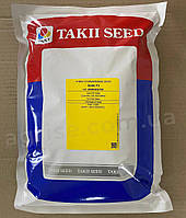 Семена репчатого озимого лука Соник (Sonic) Takii Seeds 250000