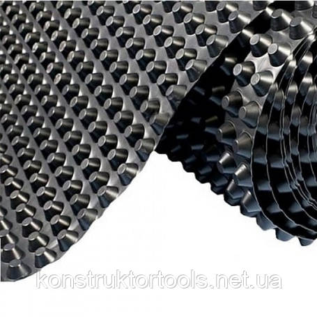 Шипоподібна мембрана