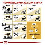 Royal Canin НА ВАГУ BRITISH SHORTHAIR ADULT ( ціна за 1 кг), фото 2