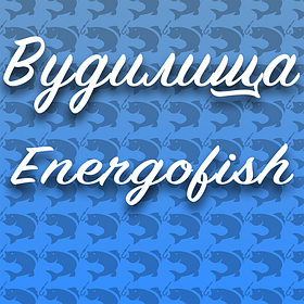 Коропові вудлища Energofish