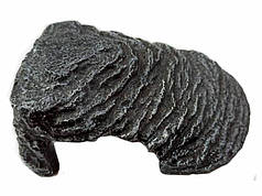 Декорація Напівстик для акваріума 11х10х5см 230 г (7023551)