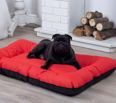 Лежанка для кота и собаки Комфорт хаки с бежевым S - 60 x 45 (ID ...