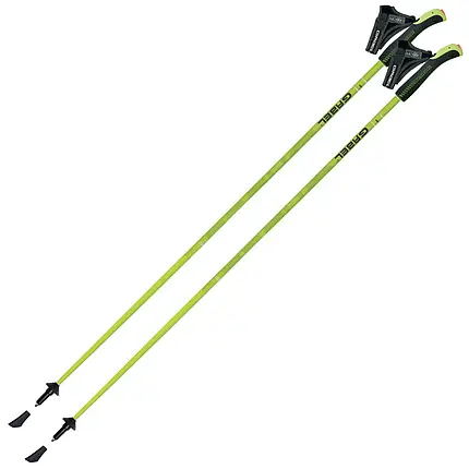 Палиці для скандинавської ходьби Gabel Light NCS, 105 см (Light Green), фото 1