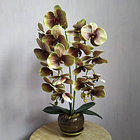 Искусственная латексная орхидея VIP в коричневом керамическом кашпо на две ветки салатово-бордовая