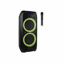 Автономна колонка музична з мікрофоном Temeisheng TMS 208-07 Bluetooth/ USB/ SD/ Радіо ФМ/ Світломузика/ Караоке, фото 2