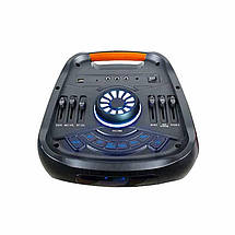 Автономна колонка музична з мікрофоном Temeisheng TMS 208-07 Bluetooth/ USB/ SD/ Радіо ФМ/ Світломузика/ Караоке, фото 5