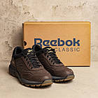 Чоловічі кросівки Rbk Classic Chocolate, фото 9