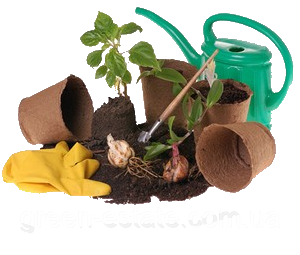 все для розсади: торф'яні таблетки