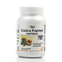 Папайя экстракт ПАПАИН 500 мг Carica Papaya leaf extrect Biotrex 60 veg.capsules