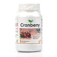 Клюква Кранберри капсулы Cranberry 500 mg Biotrex 60 caps натуральное средство от цистита
