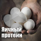 Яєчний Протеїн Україна, фото 2