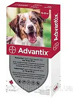 Адвантикс д/собак 10-25 кг цена одной пипетки