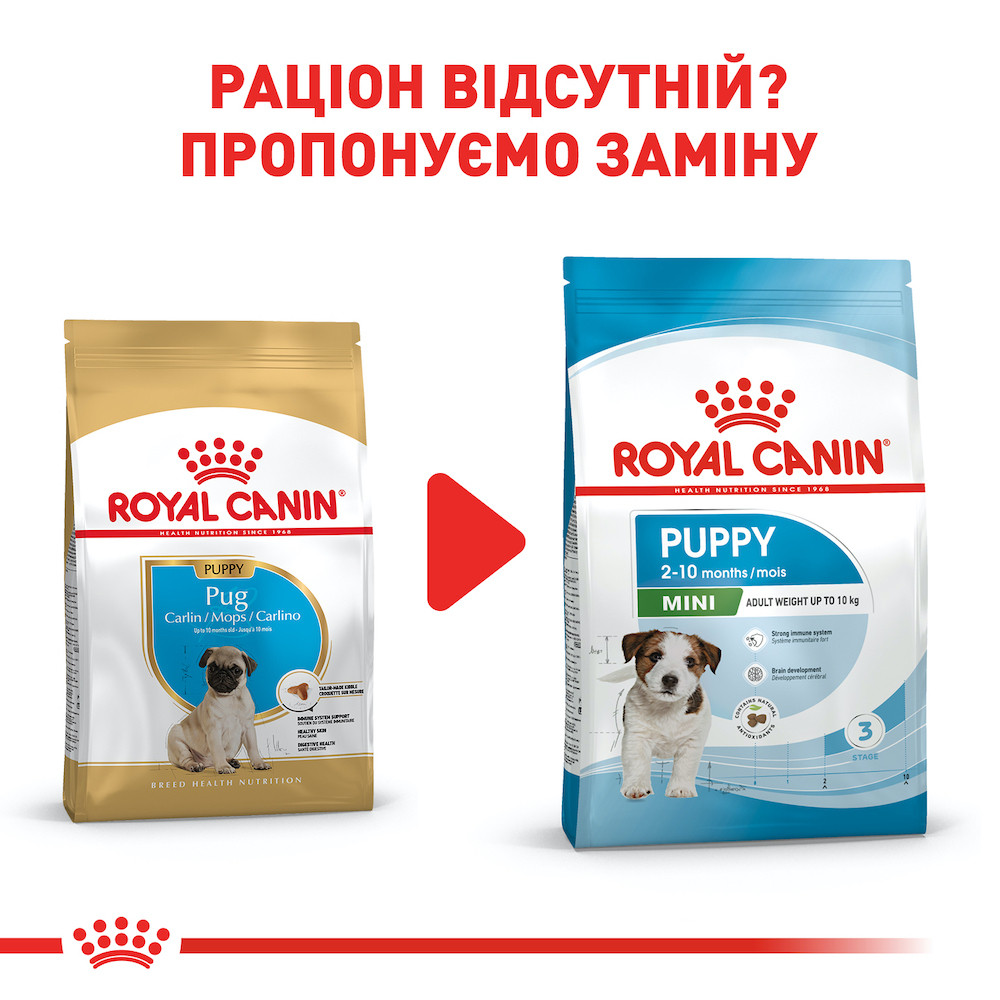 Pug royal canin cheap