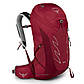 Рюкзак Osprey Talon 26 Limon Green - S/M - зелений, фото 3