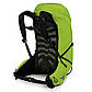 Рюкзак Osprey Talon 26 Limon Green - S/M - зелений, фото 5