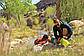 Гермомішок Osprey Ultralight DrySack 3L (2022) Poppy Orange - оранжевий, фото 6