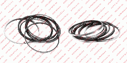 Кільця поршневі (ремонтні, 0.25) Chery Karry (A18) (Чері Карі) — 480EF-1004030BA