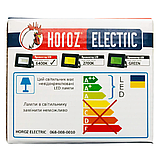 Прожектор світлодіодний вуличний Horoz Electric, наружний led світильник Pars настінний вуличний ліхтар, фото 10