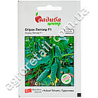 Огірок Лютояр F1 10 шт Yuksel Tohum, фото 3